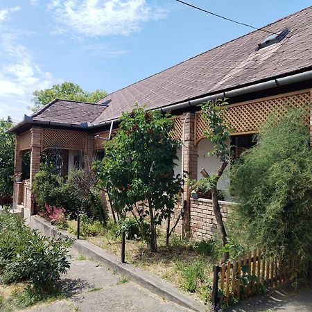 Henrietta Vendeghaz Appartement Domoszlo Buitenkant foto