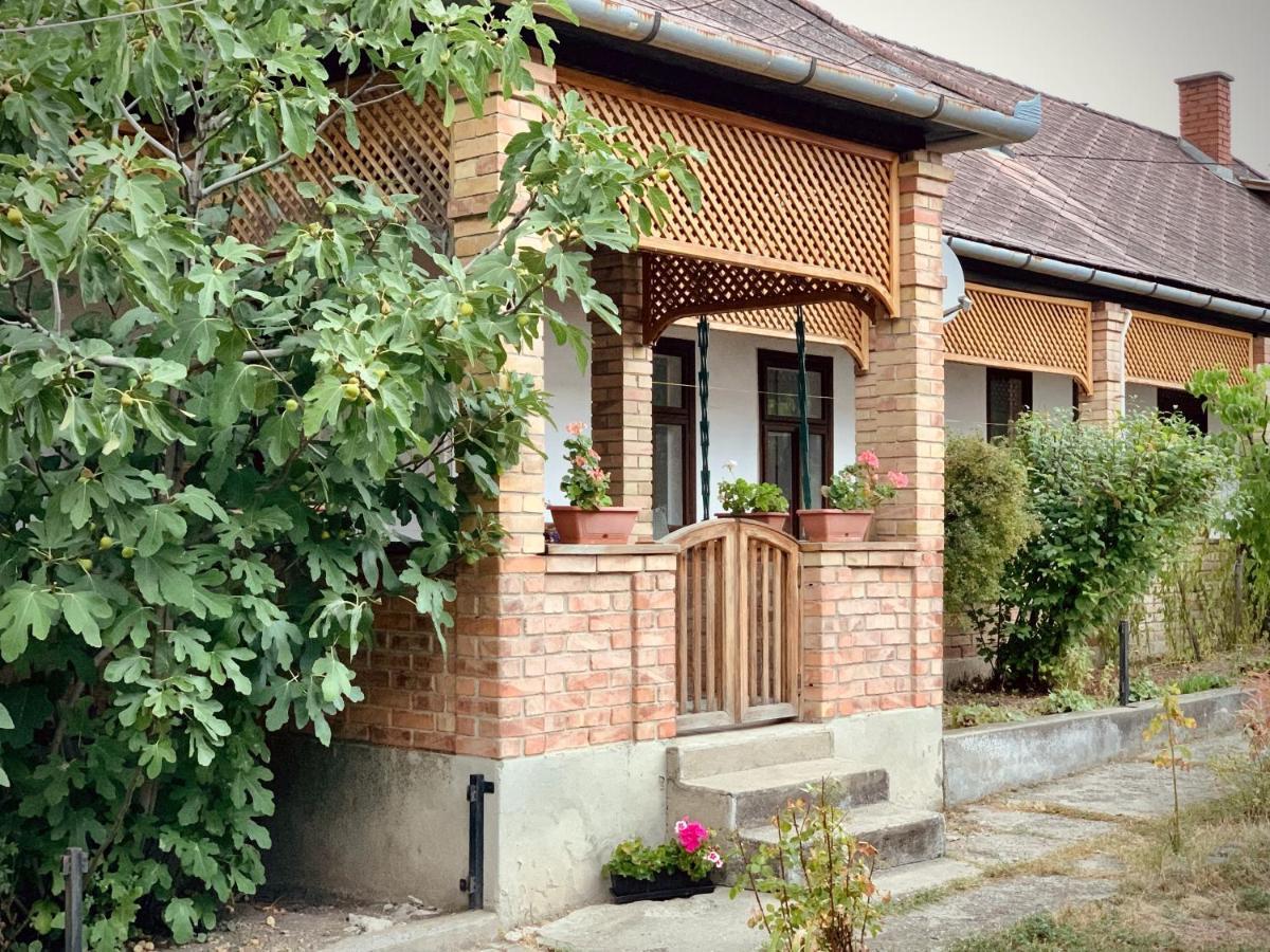 Henrietta Vendeghaz Appartement Domoszlo Buitenkant foto