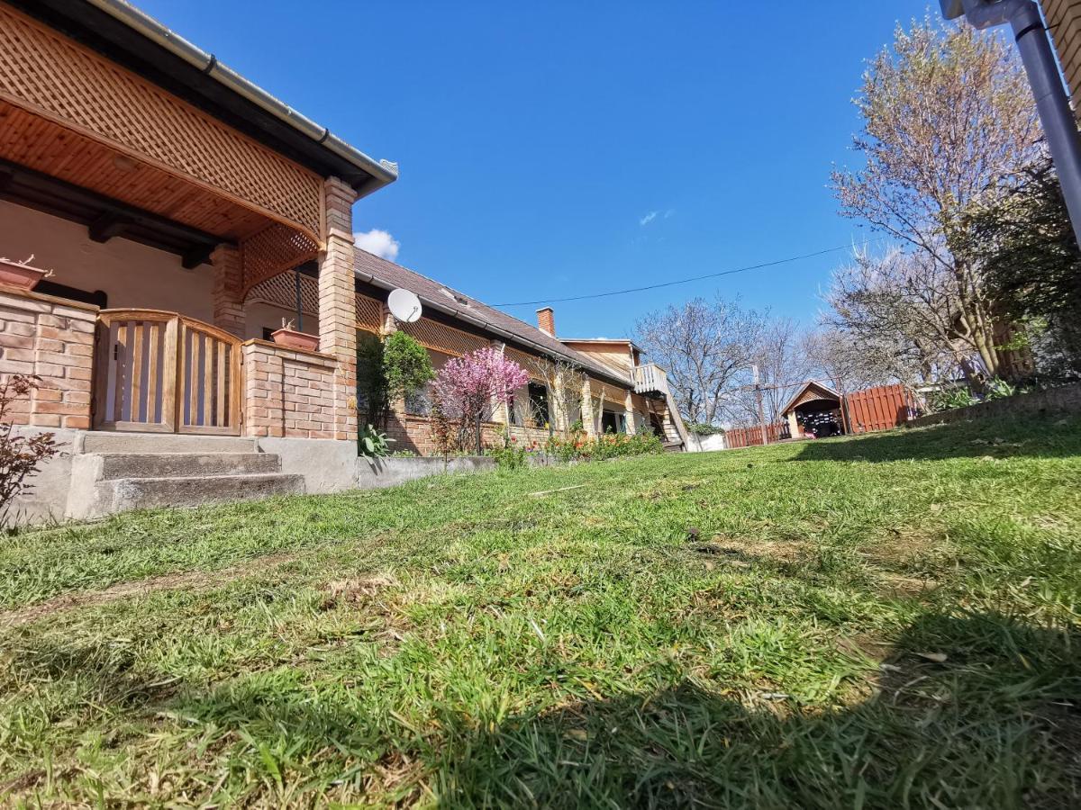 Henrietta Vendeghaz Appartement Domoszlo Buitenkant foto